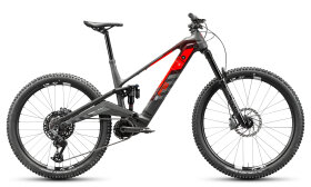 Rotwild R.EX 900 Pro