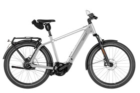 Riese und M&uuml;ller Charger5