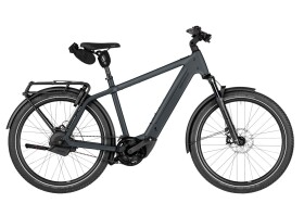 Riese und M&uuml;ller Charger5
