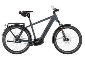 Riese und M&uuml;ller Charger5