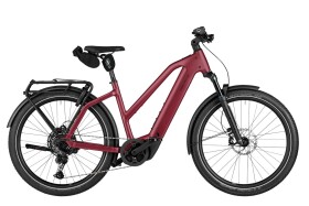 Riese und M&uuml;ller Charger5 Mixte