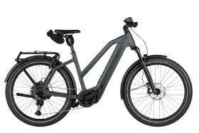 Riese und M&uuml;ller Charger5 Mixte