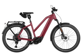 Riese und M&uuml;ller Charger5 Mixte