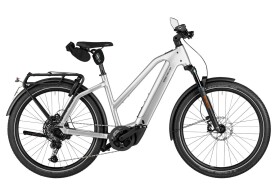 Riese und M&uuml;ller Charger5 Mixte