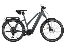 Riese und M&uuml;ller Charger5 Mixte