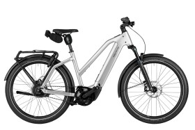 Riese und M&uuml;ller Charger5 Mixte