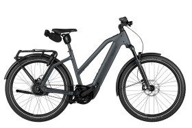 Riese und M&uuml;ller Charger5 Mixte