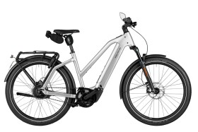 Riese und M&uuml;ller Charger5 Mixte