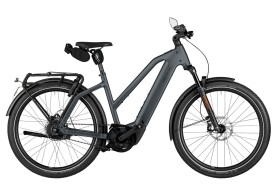 Riese und M&uuml;ller Charger5 Mixte