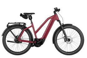 Riese und M&uuml;ller Charger5 Mixte