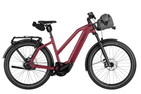 Riese und M&uuml;ller Charger5 Mixte