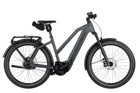 Riese und M&uuml;ller Charger5 Mixte