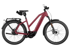 Riese und M&uuml;ller Charger5 Mixte