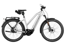 Riese und M&uuml;ller Charger5 Mixte