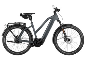 Riese und M&uuml;ller Charger5 Mixte