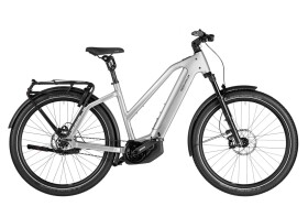 Riese und M&uuml;ller Charger5 Mixte