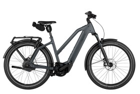 Riese und M&uuml;ller Charger5 Mixte