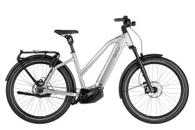 Riese und M&uuml;ller Charger5 Mixte