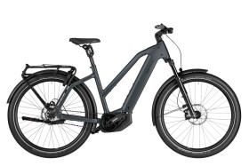 Riese und M&uuml;ller Charger5 Mixte