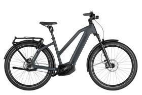 Riese und M&uuml;ller Charger5 Mixte