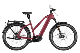 Riese und M&uuml;ller Charger5 Mixte