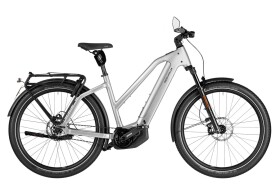 Riese und M&uuml;ller Charger5 Mixte