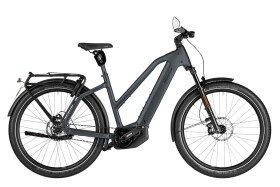 Riese und M&uuml;ller Charger5 Mixte