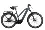 Riese und M&uuml;ller Charger5 Mixte