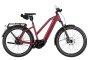 Riese und M&uuml;ller Charger5 Mixte