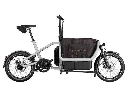 Riese und M&uuml;ller Carrie2