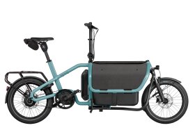 Riese und M&uuml;ller Carrie2