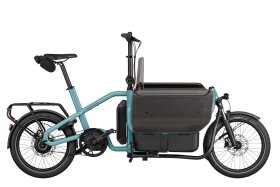 Riese und M&uuml;ller Carrie2