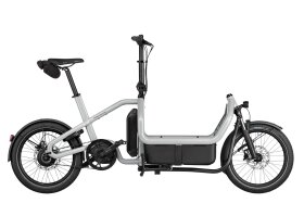 Riese und M&uuml;ller Carrie2