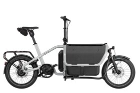 Riese und M&uuml;ller Carrie2