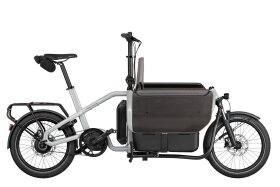 Riese und M&uuml;ller Carrie2