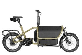 Riese und M&uuml;ller Carrie2