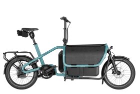 Riese und M&uuml;ller Carrie2