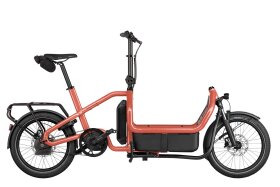 Riese und M&uuml;ller Carrie2