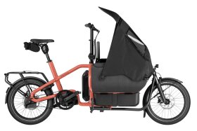 Riese und M&uuml;ller Carrie2