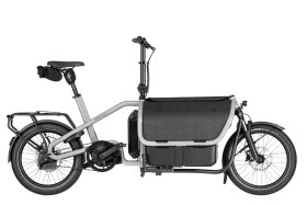 Riese und M&uuml;ller Carrie2