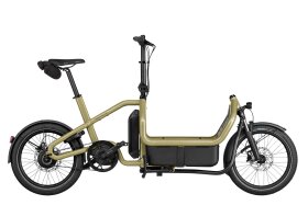 Riese und M&uuml;ller Carrie2