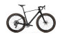 Mondraker Arid Carbon RR