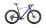 Mondraker Arid Carbon RR